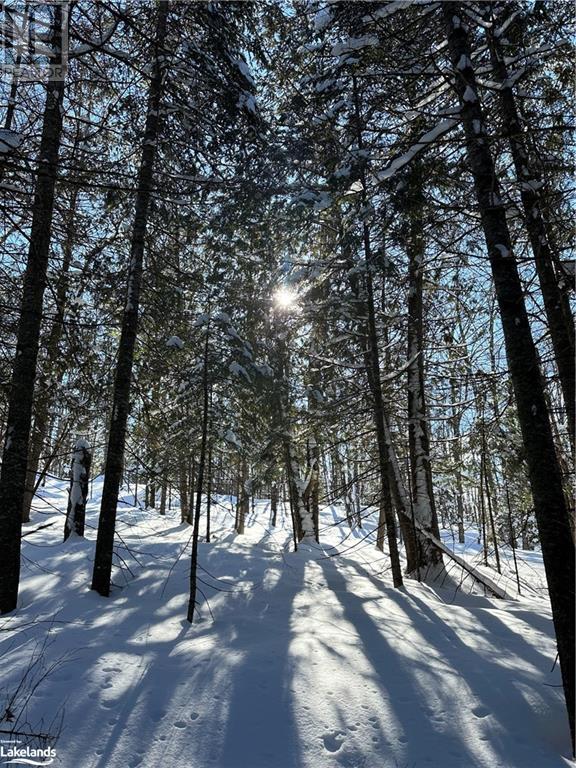 Lot 1 Dwight Beach Road, Dwight, Ontario  P0A 1H0 - Photo 25 - 40659280
