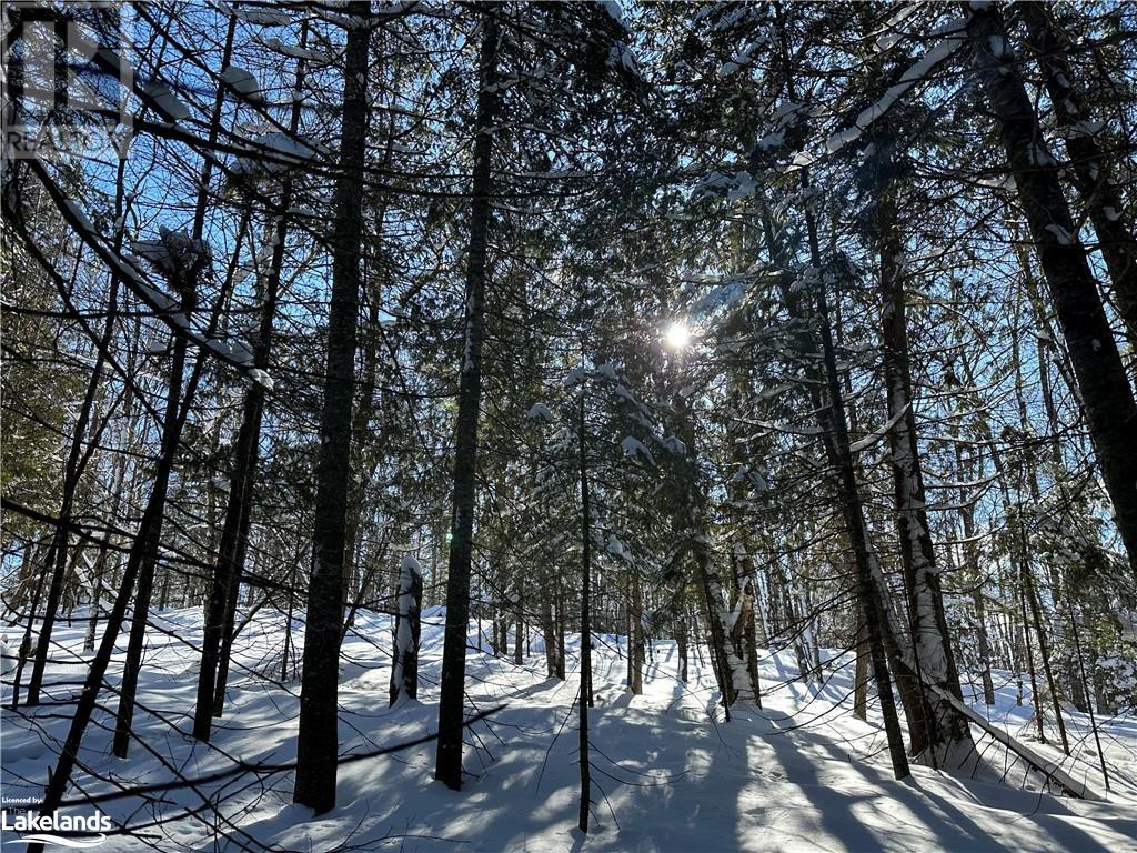 Lot 1 Dwight Beach Road, Dwight, Ontario  P0A 1H0 - Photo 26 - 40659280