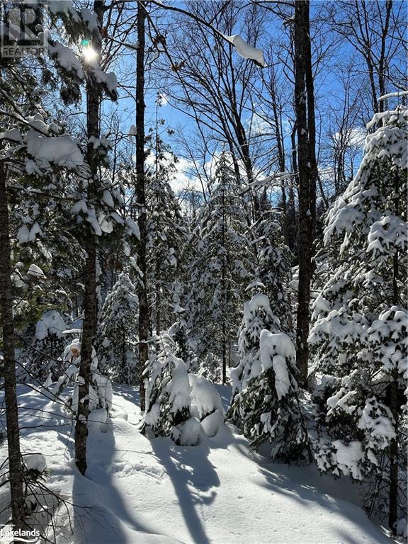 Lot 1 Dwight Beach Road, Dwight, Ontario  P0A 1H0 - Photo 28 - 40659280