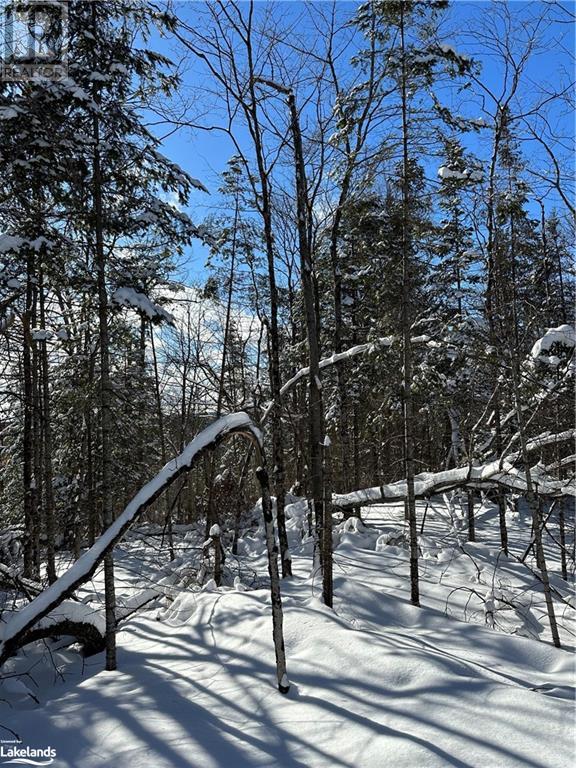 Lot 1 Dwight Beach Road, Dwight, Ontario  P0A 1H0 - Photo 29 - 40659280