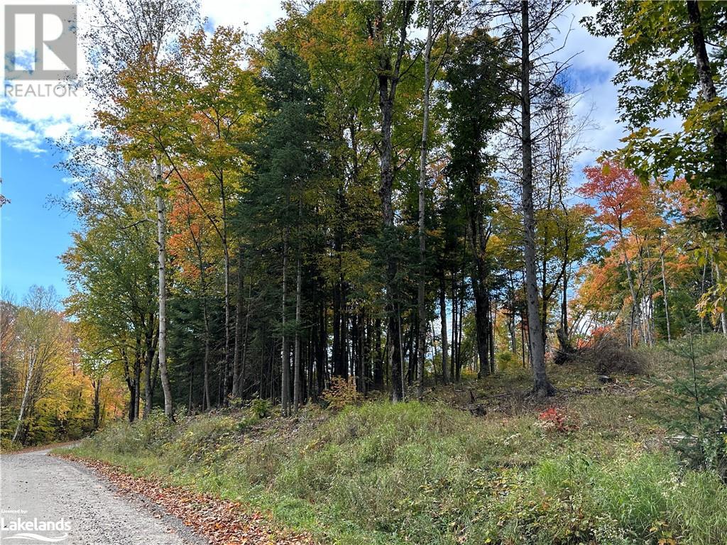 Lot 1 Dwight Beach Road, Dwight, Ontario  P0A 1H0 - Photo 3 - 40659280