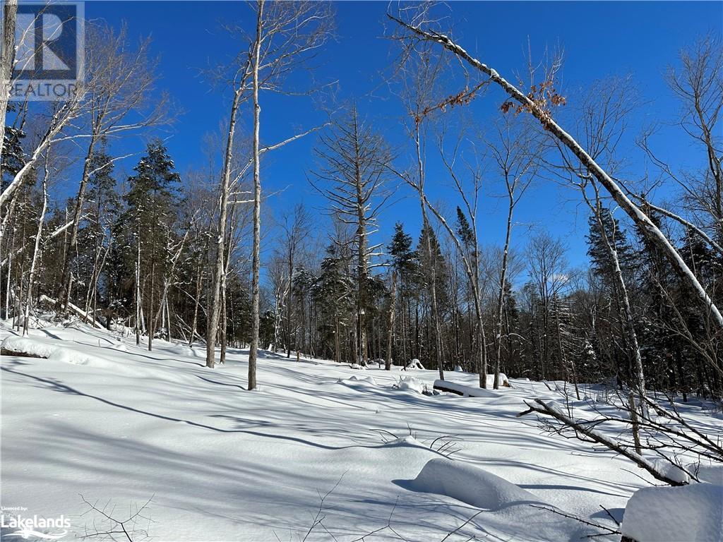 Lot 1 Dwight Beach Road, Dwight, Ontario  P0A 1H0 - Photo 33 - 40659280