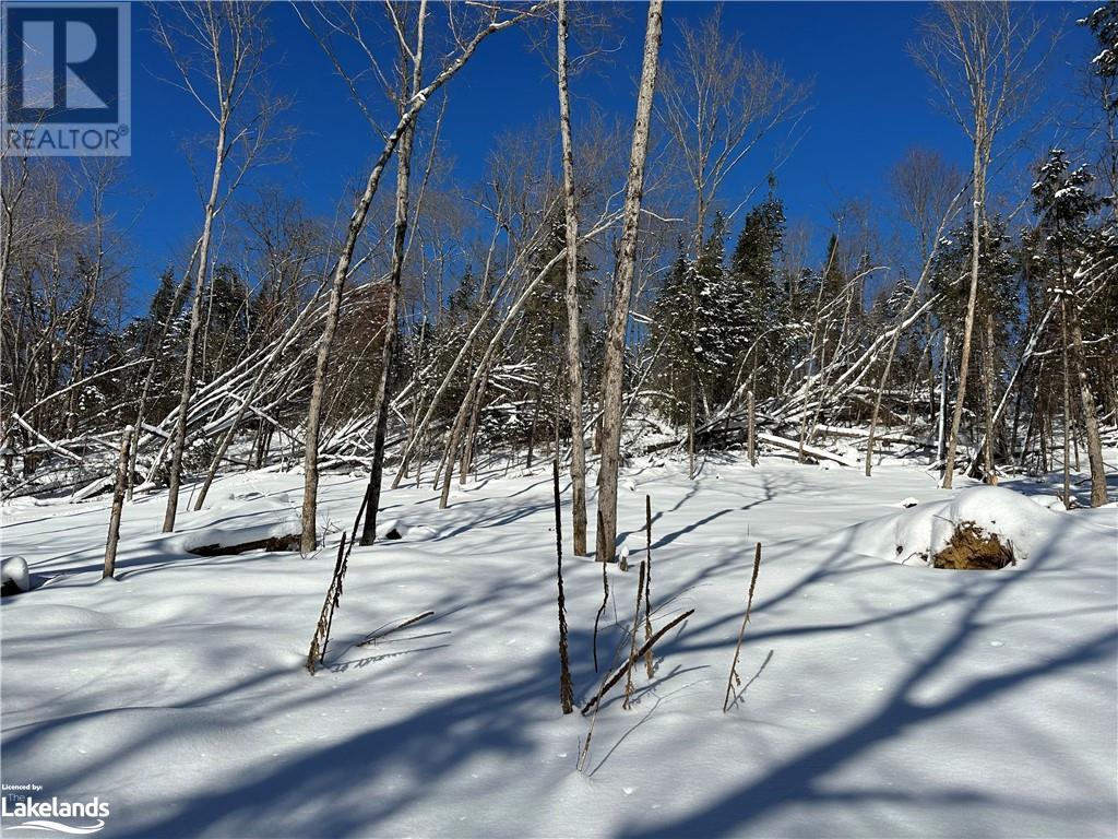 Lot 1 Dwight Beach Road, Dwight, Ontario  P0A 1H0 - Photo 34 - 40659280