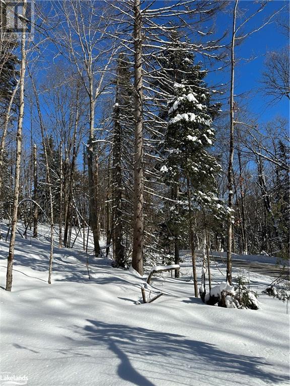 Lot 1 Dwight Beach Road, Dwight, Ontario  P0A 1H0 - Photo 35 - 40659280