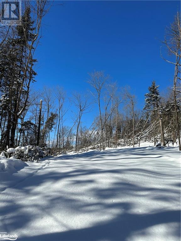 Lot 1 Dwight Beach Road, Dwight, Ontario  P0A 1H0 - Photo 36 - 40659280