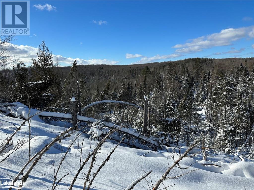 Lot 1 Dwight Beach Road, Dwight, Ontario  P0A 1H0 - Photo 38 - 40659280