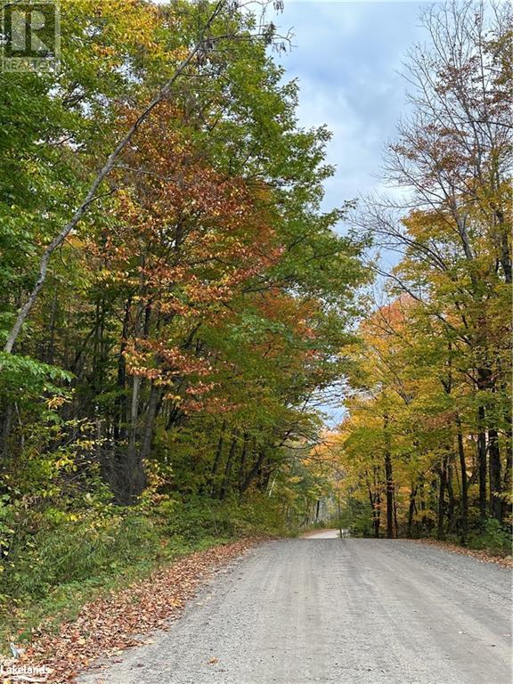 Lot 1 Dwight Beach Road, Dwight, Ontario  P0A 1H0 - Photo 39 - 40659280