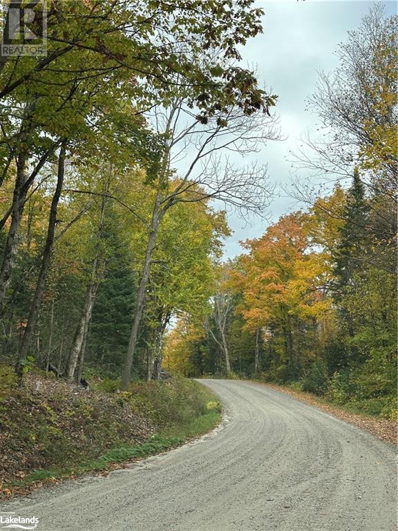 Lot 1 Dwight Beach Road, Dwight, Ontario  P0A 1H0 - Photo 4 - 40659280