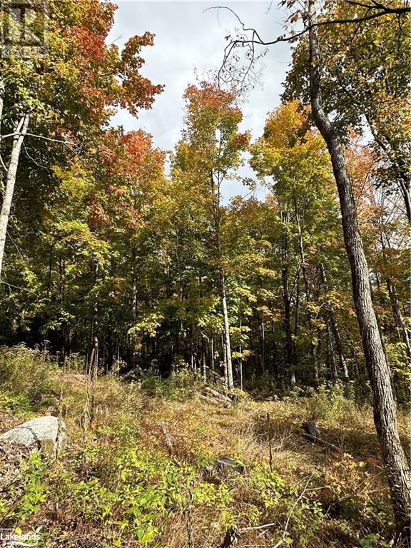 Lot 1 Dwight Beach Road, Dwight, Ontario  P0A 1H0 - Photo 41 - 40659280