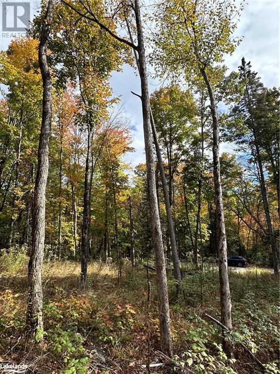 Lot 1 Dwight Beach Road, Dwight, Ontario  P0A 1H0 - Photo 42 - 40659280