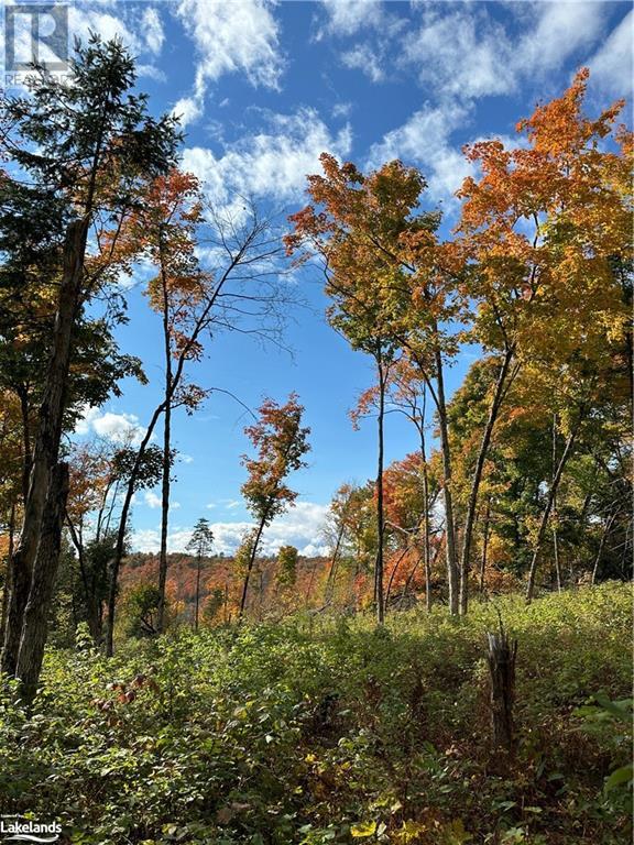 Lot 1 Dwight Beach Road, Dwight, Ontario  P0A 1H0 - Photo 43 - 40659280