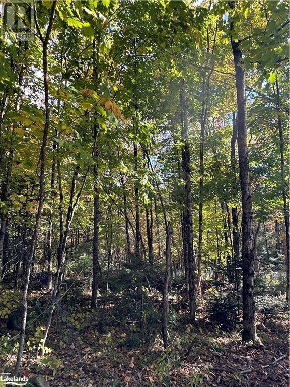 Lot 1 Dwight Beach Road, Dwight, Ontario  P0A 1H0 - Photo 44 - 40659280