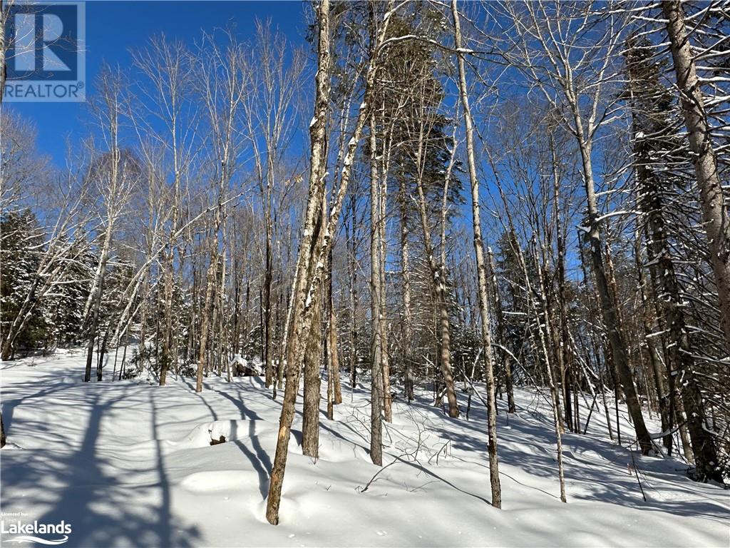 Lot 1 Dwight Beach Road, Dwight, Ontario  P0A 1H0 - Photo 45 - 40659280