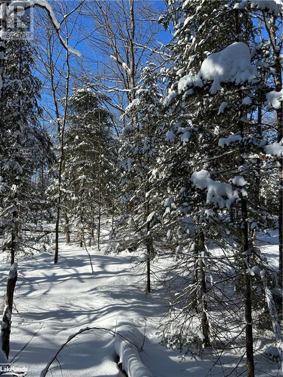 Lot 1 Dwight Beach Road, Dwight, Ontario  P0A 1H0 - Photo 46 - 40659280