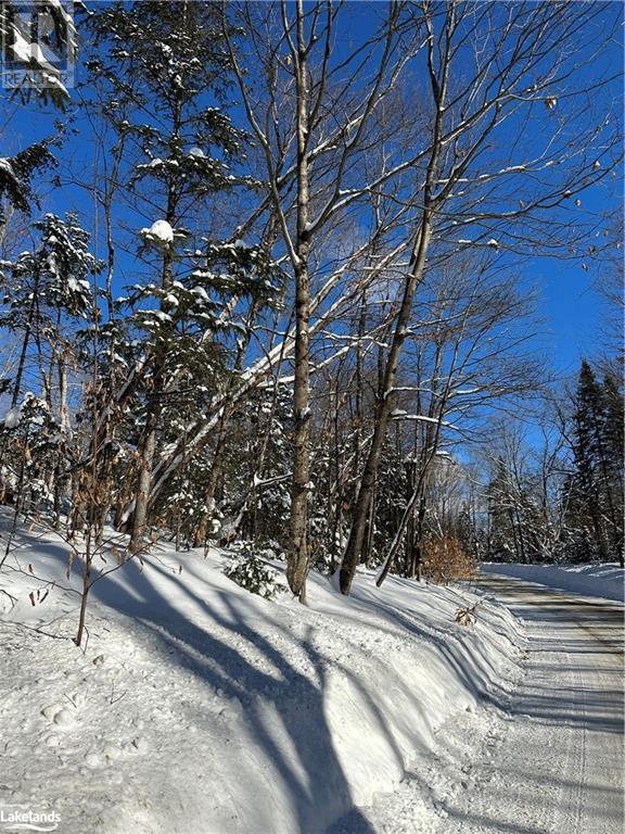 Lot 1 Dwight Beach Road, Dwight, Ontario  P0A 1H0 - Photo 47 - 40659280