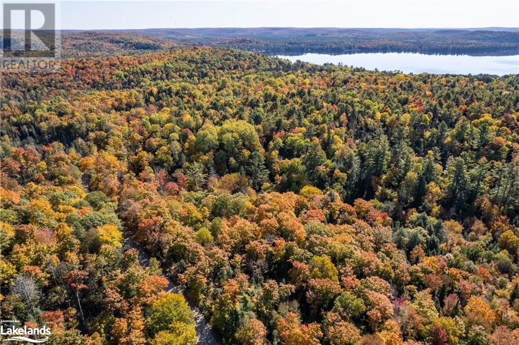 Lot 1 Dwight Beach Road, Dwight, Ontario  P0A 1H0 - Photo 48 - 40659280