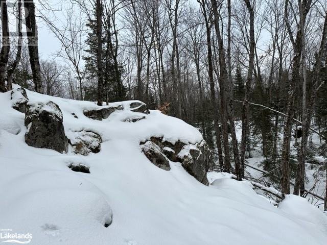 Lot 1 Dwight Beach Road, Dwight, Ontario  P0A 1H0 - Photo 49 - 40659280