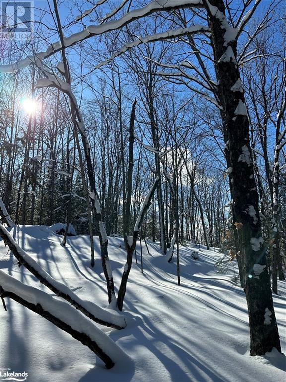 Lot 1 Dwight Beach Road, Dwight, Ontario  P0A 1H0 - Photo 50 - 40659280