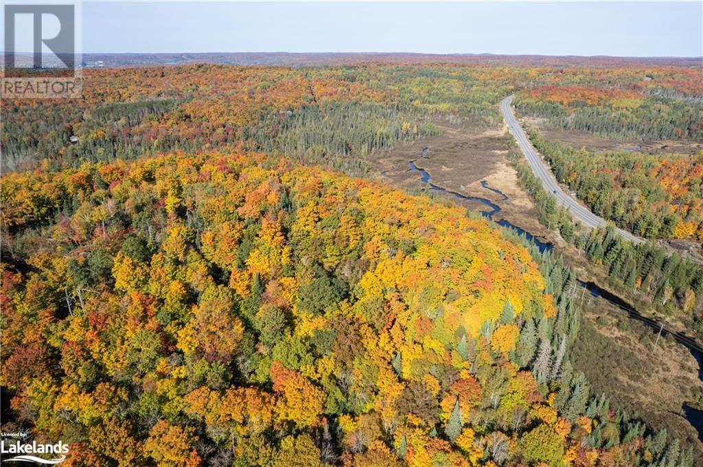 Lot 1 Dwight Beach Road, Dwight, Ontario  P0A 1H0 - Photo 6 - 40659280