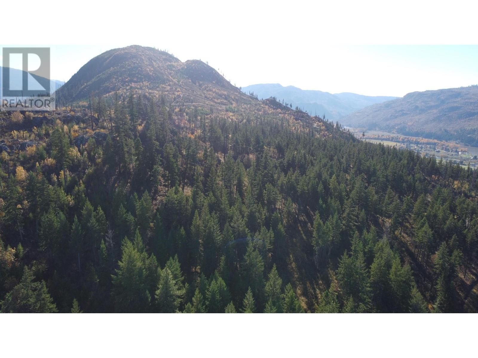 Dl 1570 Dixon Creek Rd, Barriere, British Columbia    - Photo 15 - 181486