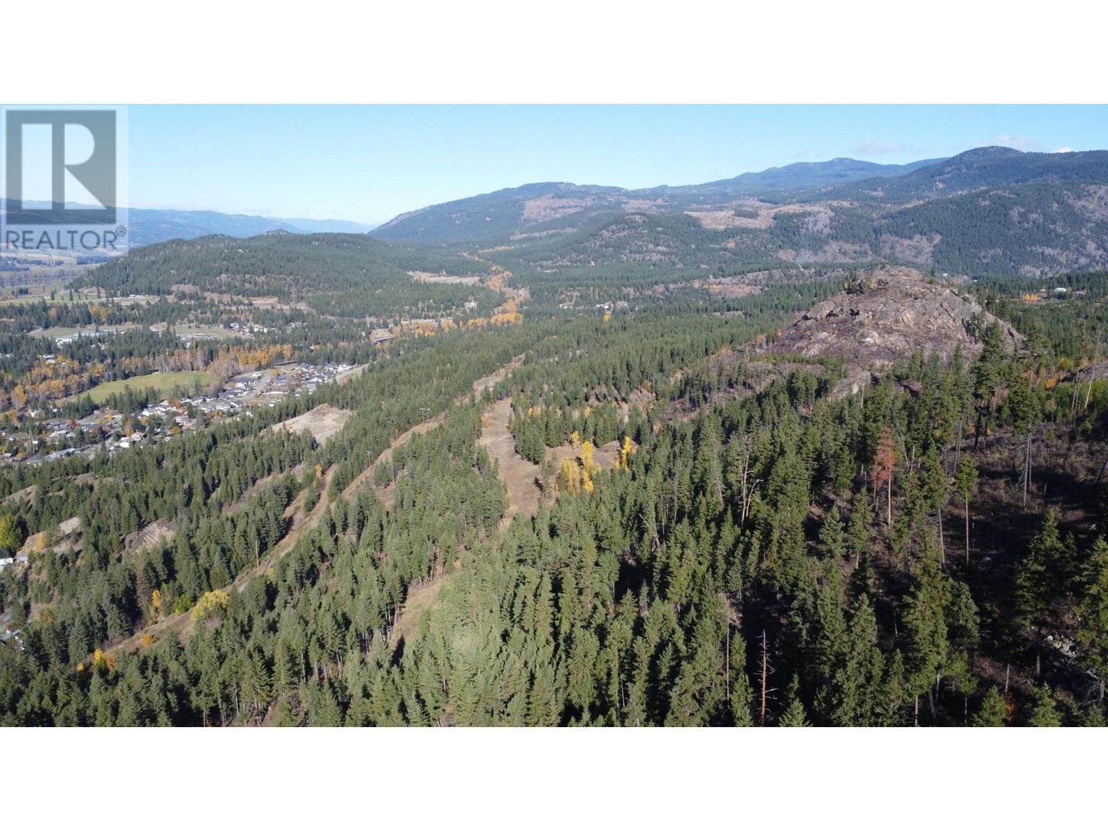 Dl 1570 Dixon Creek Rd, Barriere, British Columbia    - Photo 10 - 181486