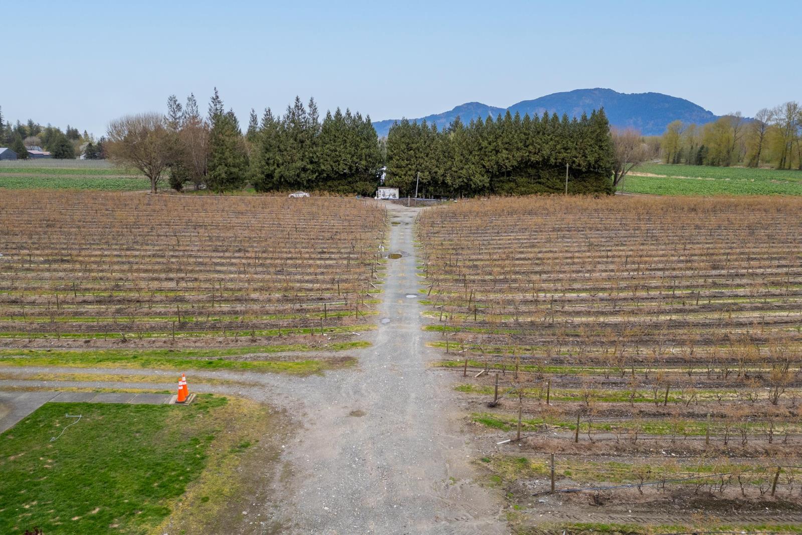 43830 Duncan Road, Yarrow, Chilliwack, British Columbia  V2R 4R2 - Photo 19 - R2938245