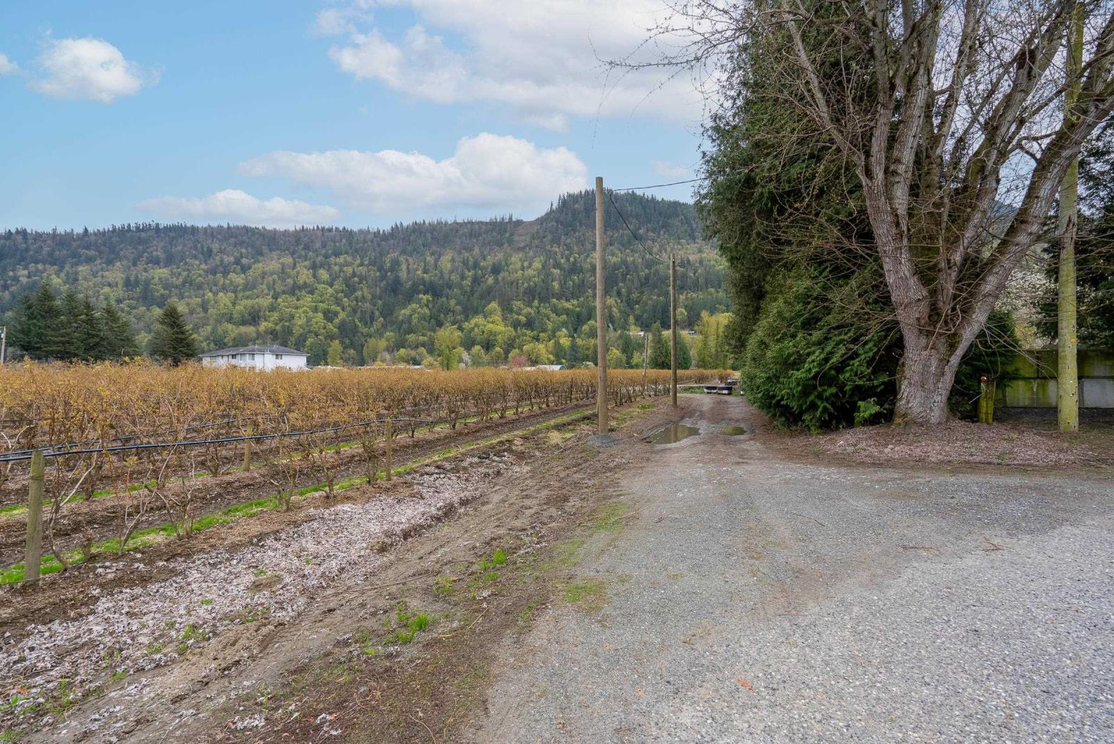 43830 Duncan Road, Yarrow, Chilliwack, British Columbia  V2R 4R2 - Photo 24 - R2938245