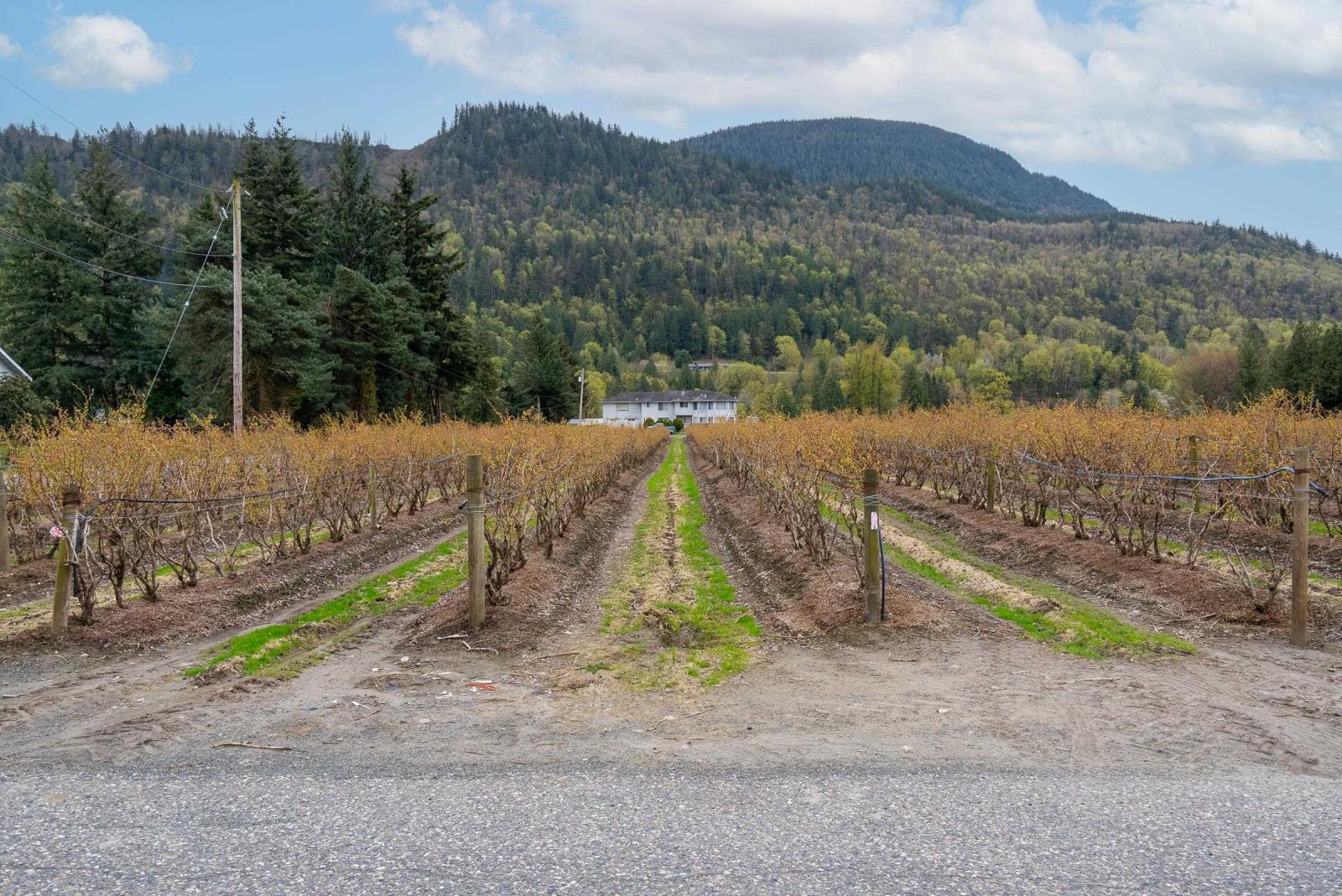 43830 Duncan Road, Yarrow, Chilliwack, British Columbia  V2R 4R2 - Photo 26 - R2938245