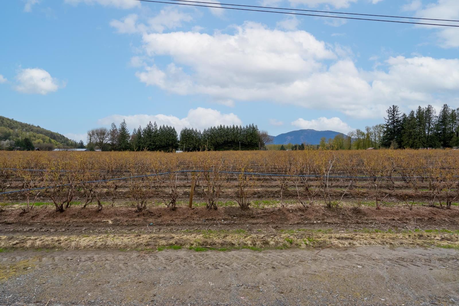 43830 Duncan Road, Yarrow, Chilliwack, British Columbia  V2R 4R2 - Photo 29 - R2938245