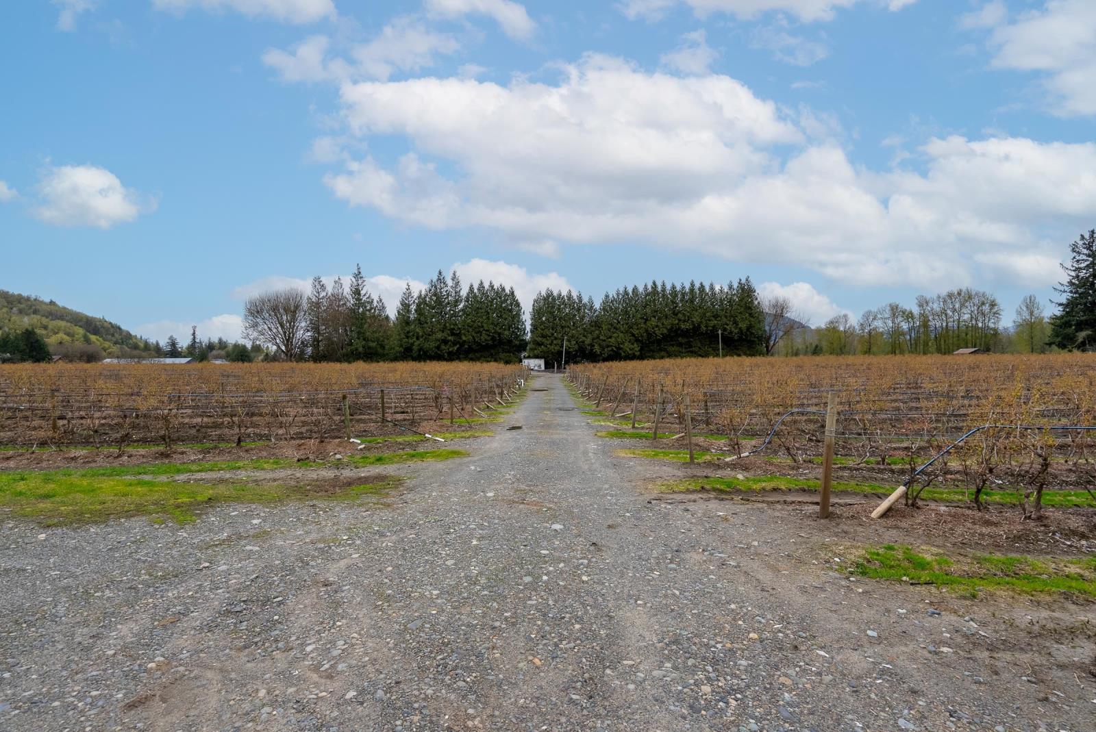 43830 Duncan Road, Yarrow, Chilliwack, British Columbia  V2R 4R2 - Photo 34 - R2938245