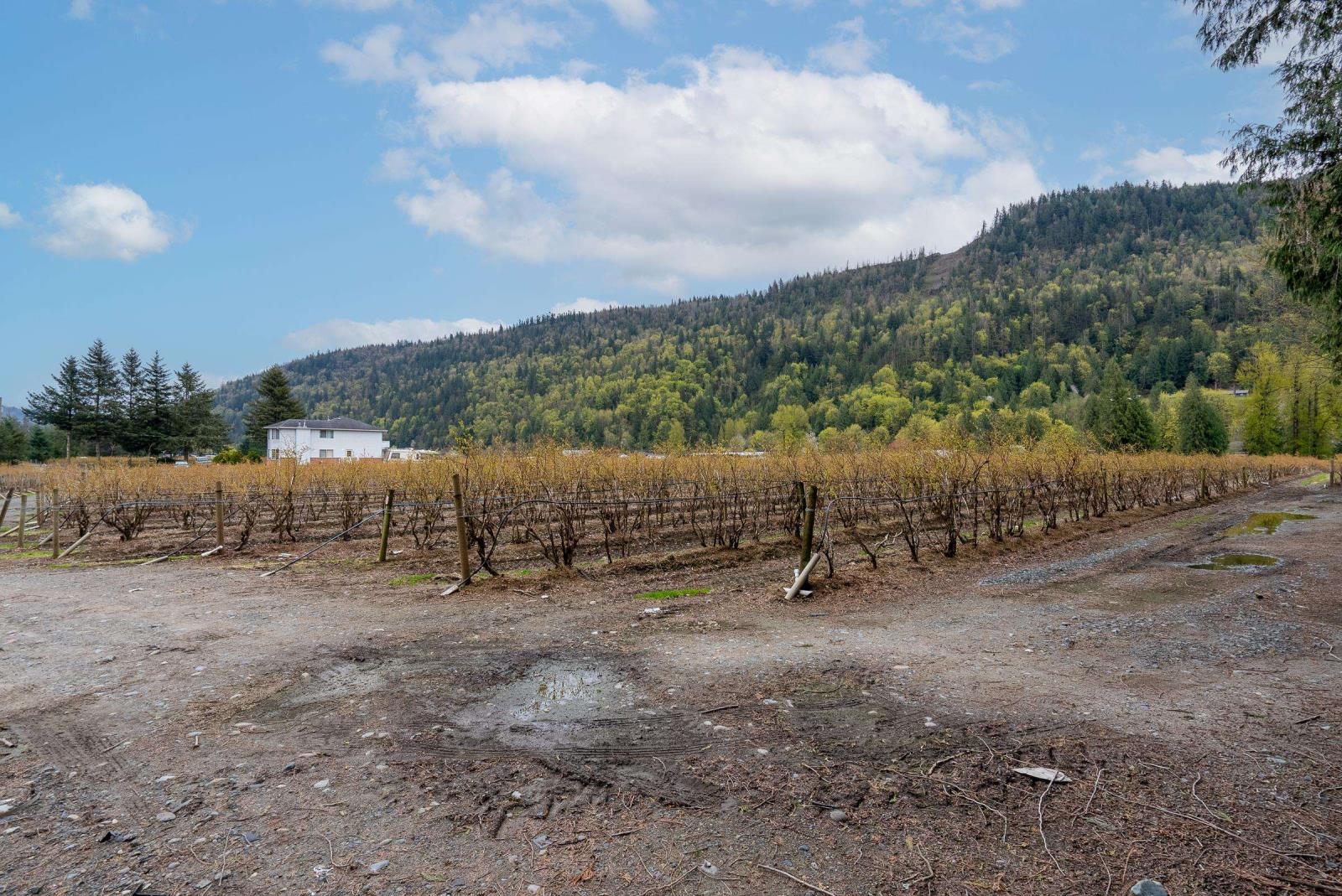 43830 Duncan Road, Yarrow, Chilliwack, British Columbia  V2R 4R2 - Photo 37 - R2938245