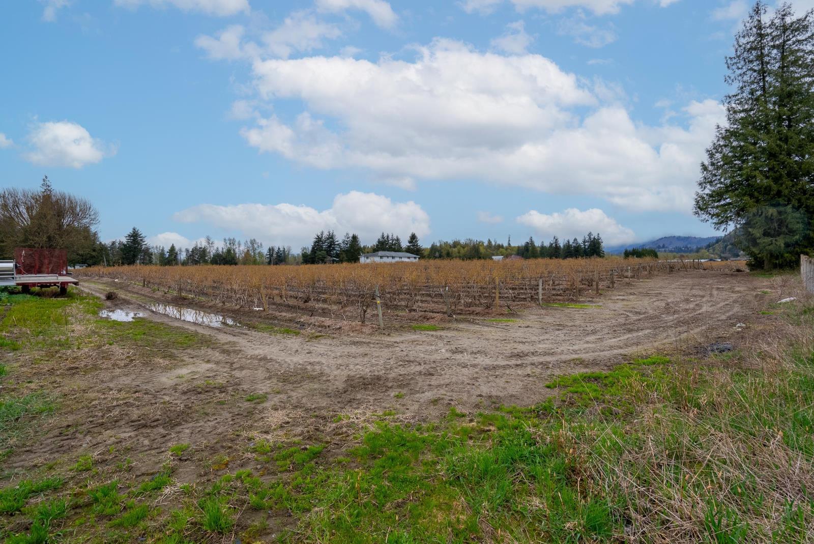 43830 Duncan Road, Yarrow, Chilliwack, British Columbia  V2R 4R2 - Photo 38 - R2938245