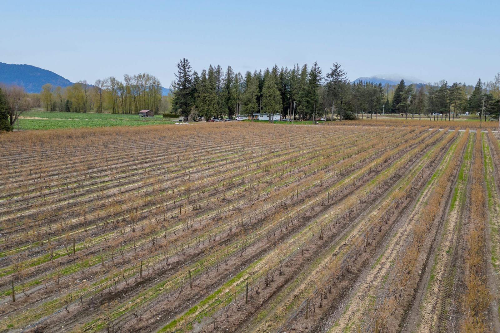 43830 Duncan Road, Yarrow, Chilliwack, British Columbia  V2R 4R2 - Photo 6 - R2938245