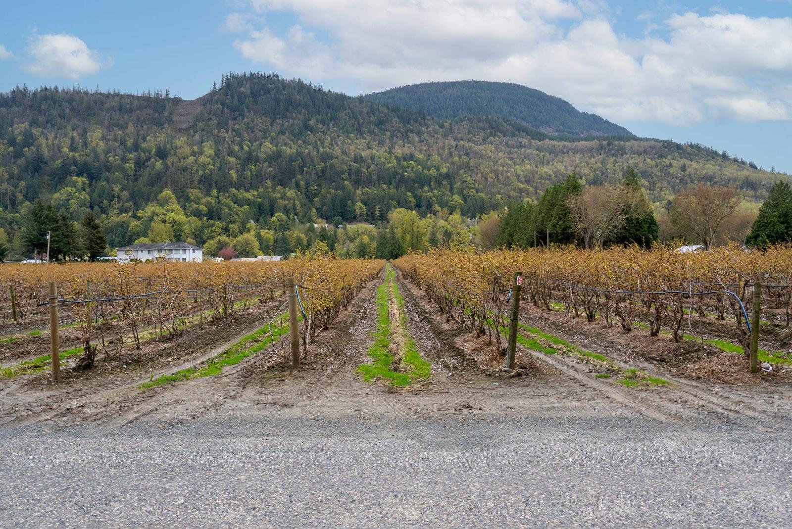 43830 Duncan Road, Yarrow, Chilliwack, British Columbia  V2R 4R2 - Photo 7 - R2938245