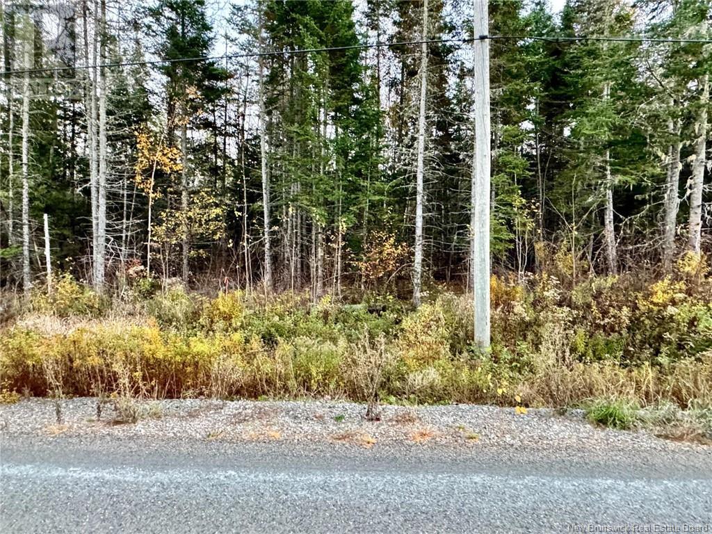 Lot 2 Enniskillen Road, Hoyt, New Brunswick  E5L 0O0 - Photo 1 - NB108362