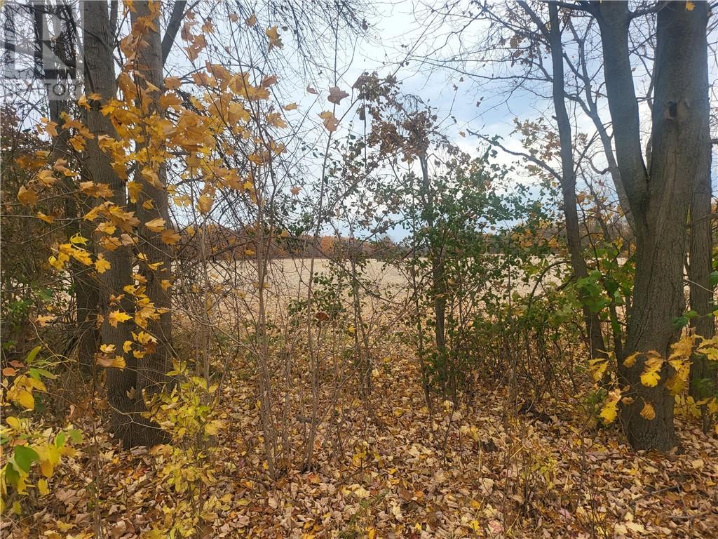 Lot 2 Bush Road, Elgin, Ontario  K0G 1E0 - Photo 1 - 1417920