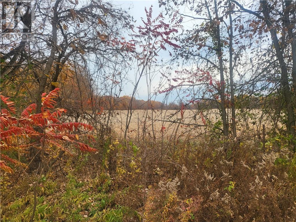 Lot 1 Bush Road, Elgin, Ontario  K0G 1E0 - Photo 1 - 1417917