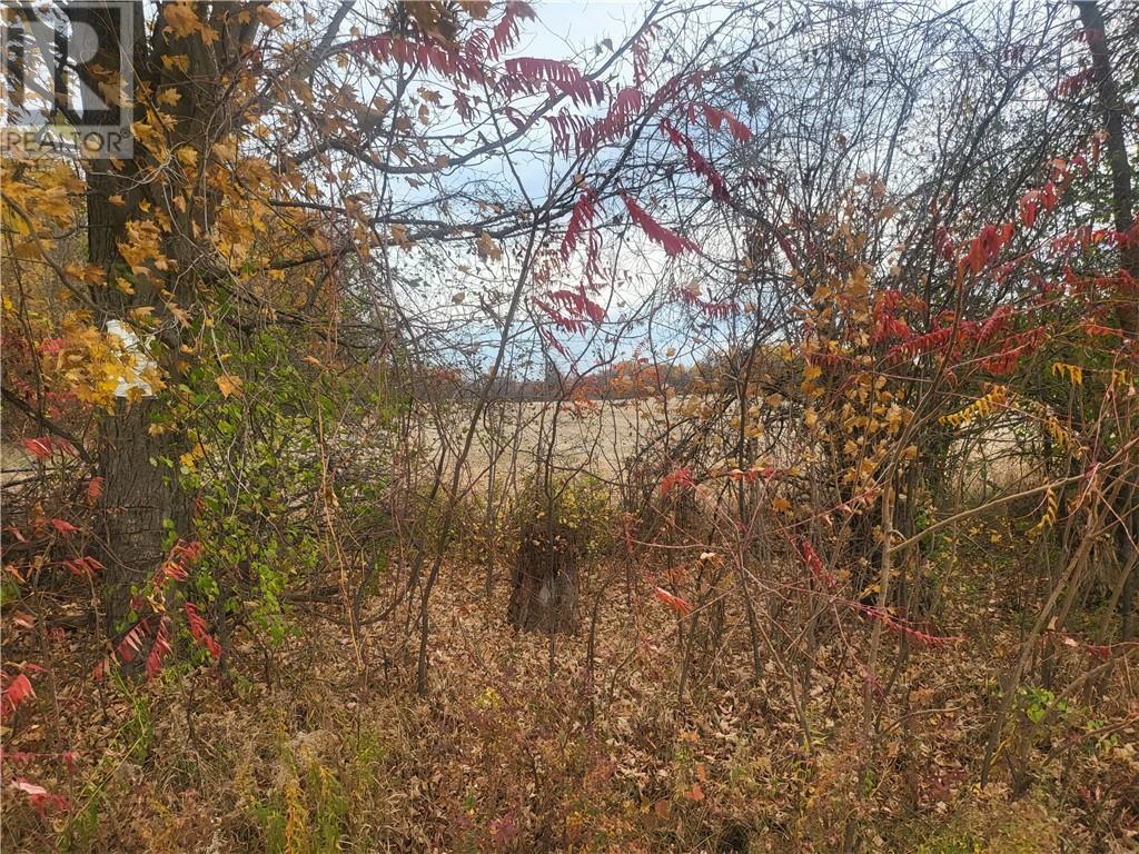 Lot 1 Bush Road, Elgin, Ontario  K0G 1E0 - Photo 2 - 1417917