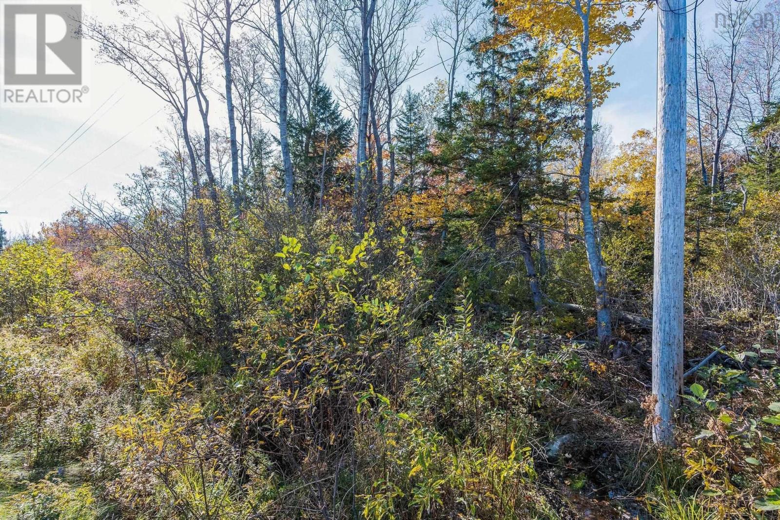 Lot New Road, Weymouth North, Nova Scotia  B0W 3T0 - Photo 23 - 202425307