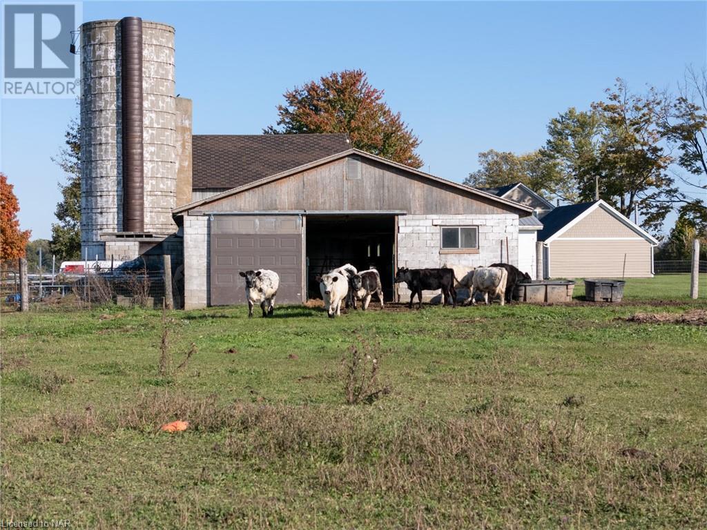 4692 Gilmore Road, Stevensville, Ontario  L0S 1N0 - Photo 45 - 40668050