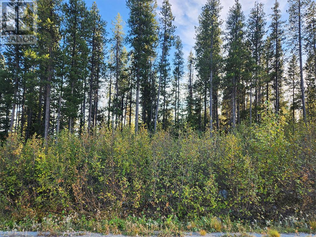 Lot 21 Buck Road Oliver, BC V0H1T8_4