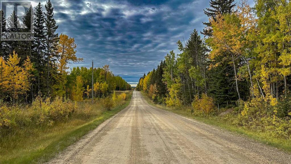 31479 Range Road 52, Rural Mountain View County, Alberta  T0M 1X0 - Photo 11 - A2170531