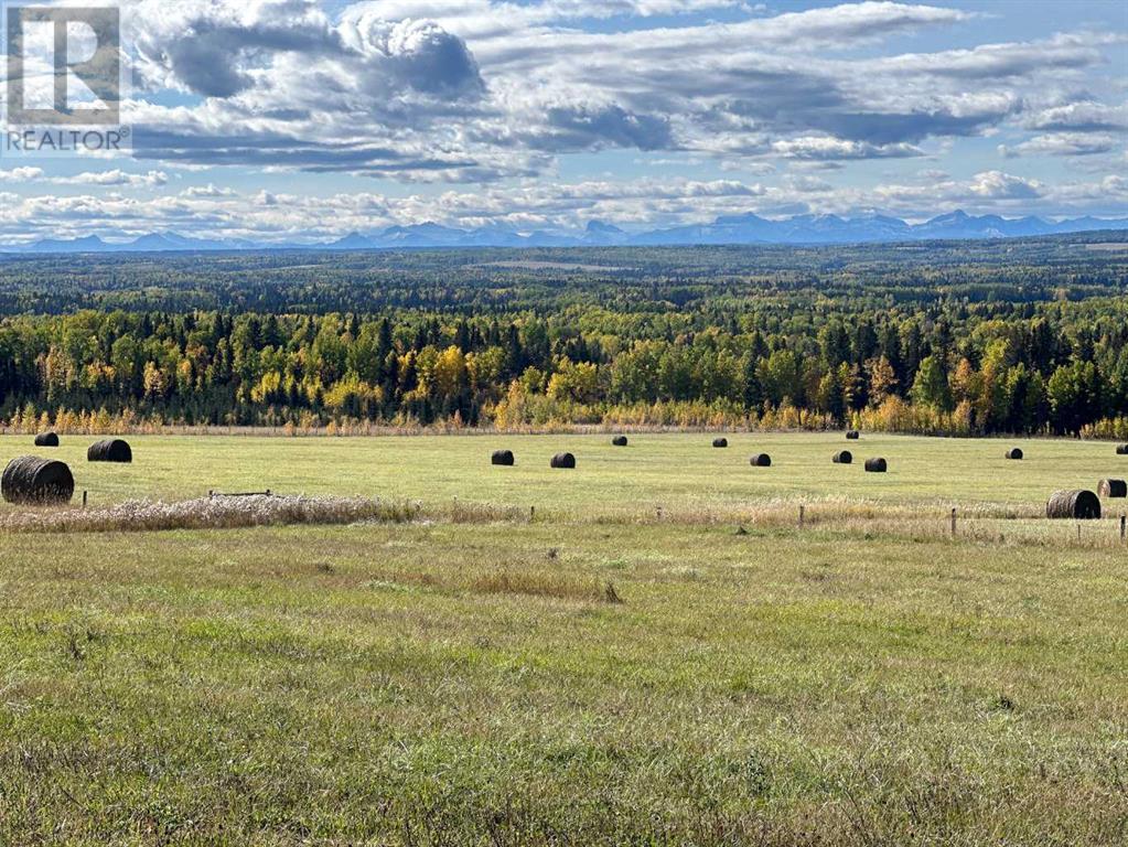 31479 Range Road 52, Rural Mountain View County, Alberta  T0M 1X0 - Photo 9 - A2170531