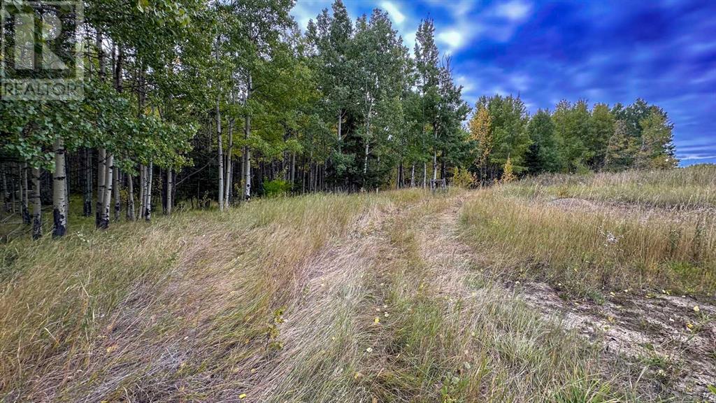 31479 Range Road 52, Rural Mountain View County, Alberta  T0M 1X0 - Photo 38 - A2170531