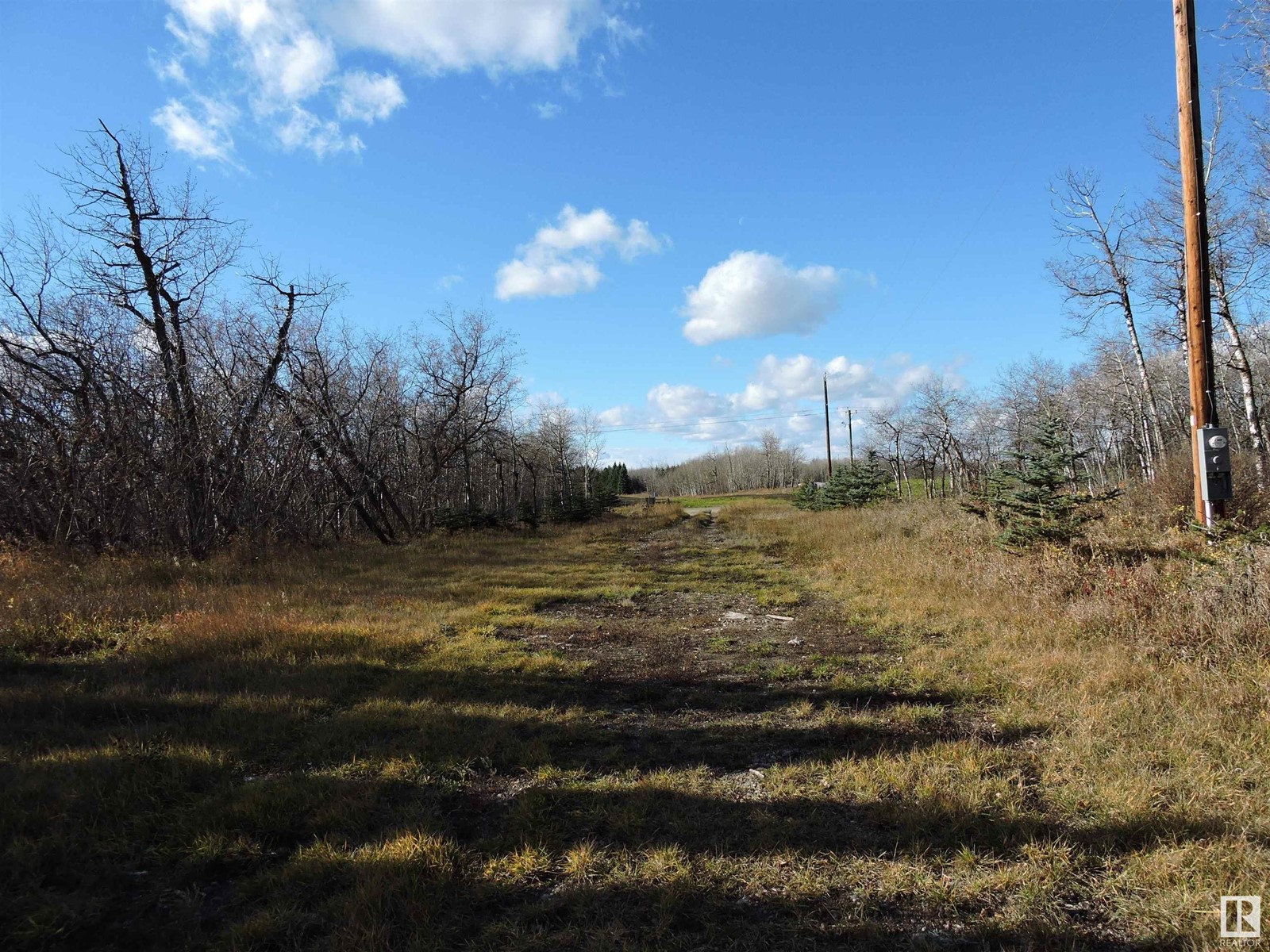 530081 Hwy 834, Rural Lamont County, Alberta  T0B 4R0 - Photo 4 - E4411581