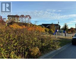 61 Badcock Boulevard, Bay Roberts, Newfoundland & Labrador