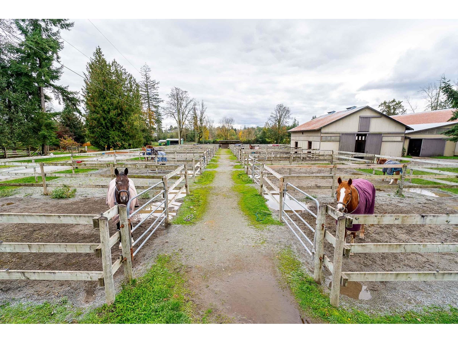 25162 40 Avenue, Langley, British Columbia  V4W 1Z3 - Photo 26 - R2937426