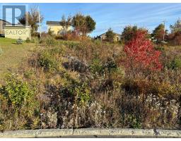 59 Badcock Boulevard, Bay Roberts, Newfoundland & Labrador