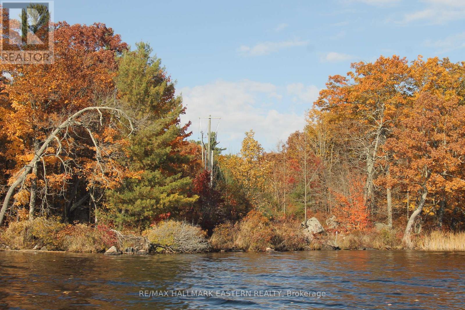 Lots123 - C280 Lower Buckhorn Lake, Galway-Cavendish And Harvey, Ontario  K0L 1J0 - Photo 13 - X9510150