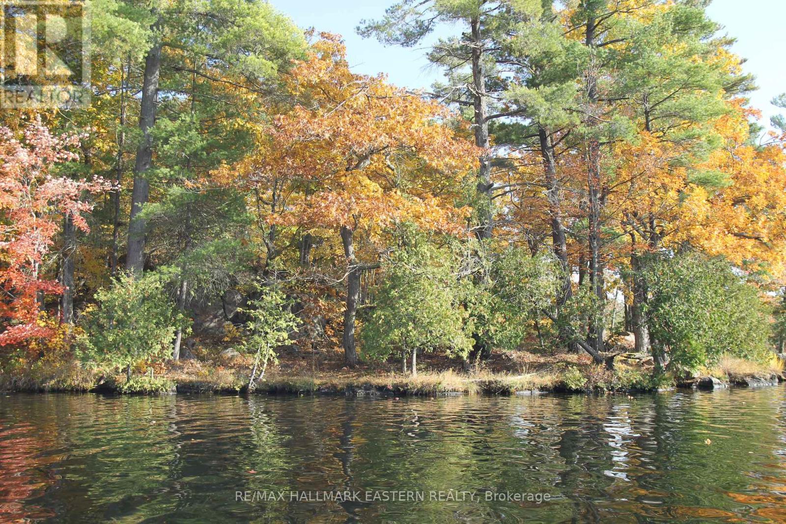 Lots123 - C280 Lower Buckhorn Lake, Galway-Cavendish And Harvey, Ontario K0L 1J0 - Photo 4 - X9510150